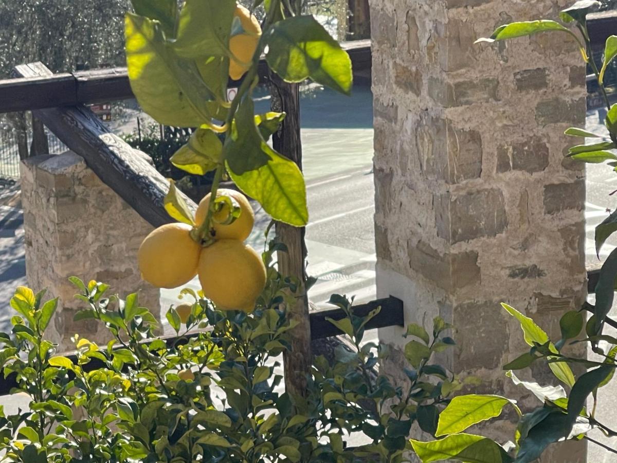 B&B Casa Limone Limone sul Garda Εξωτερικό φωτογραφία